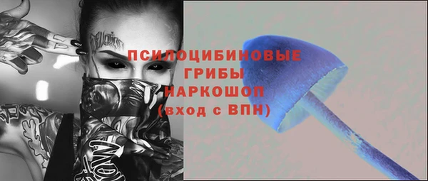 ГАЛЛЮЦИНОГЕННЫЕ ГРИБЫ Верея
