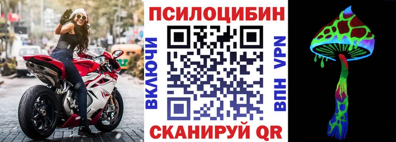 Галлюциногенные грибы Psilocybe  Гаджиево 