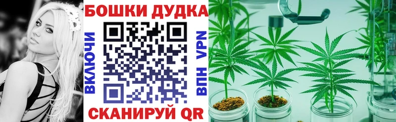 Бошки марихуана индика  продажа наркотиков  Гаджиево 